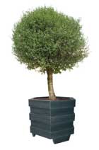 Blomsterkrukke - Barcelona - Model Ø120 - Plastplanker -  - Blomsterkrukke