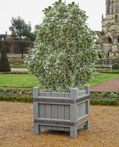 Blomsterkrukke - Versailles - Plastplanker -  - Blomsterkrukke