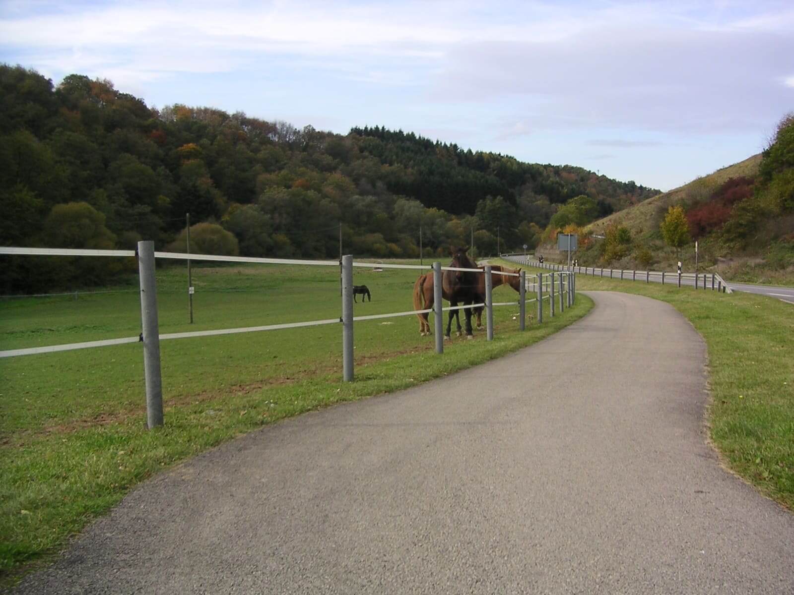 Pæl med spids - Grå - Plastplanker -  - Pæl med spids